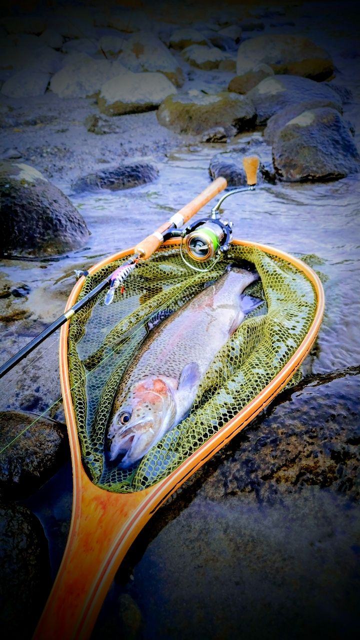 Jackson カワセミラプソディ KWSM-S52ULの最安値・インプレ・釣果