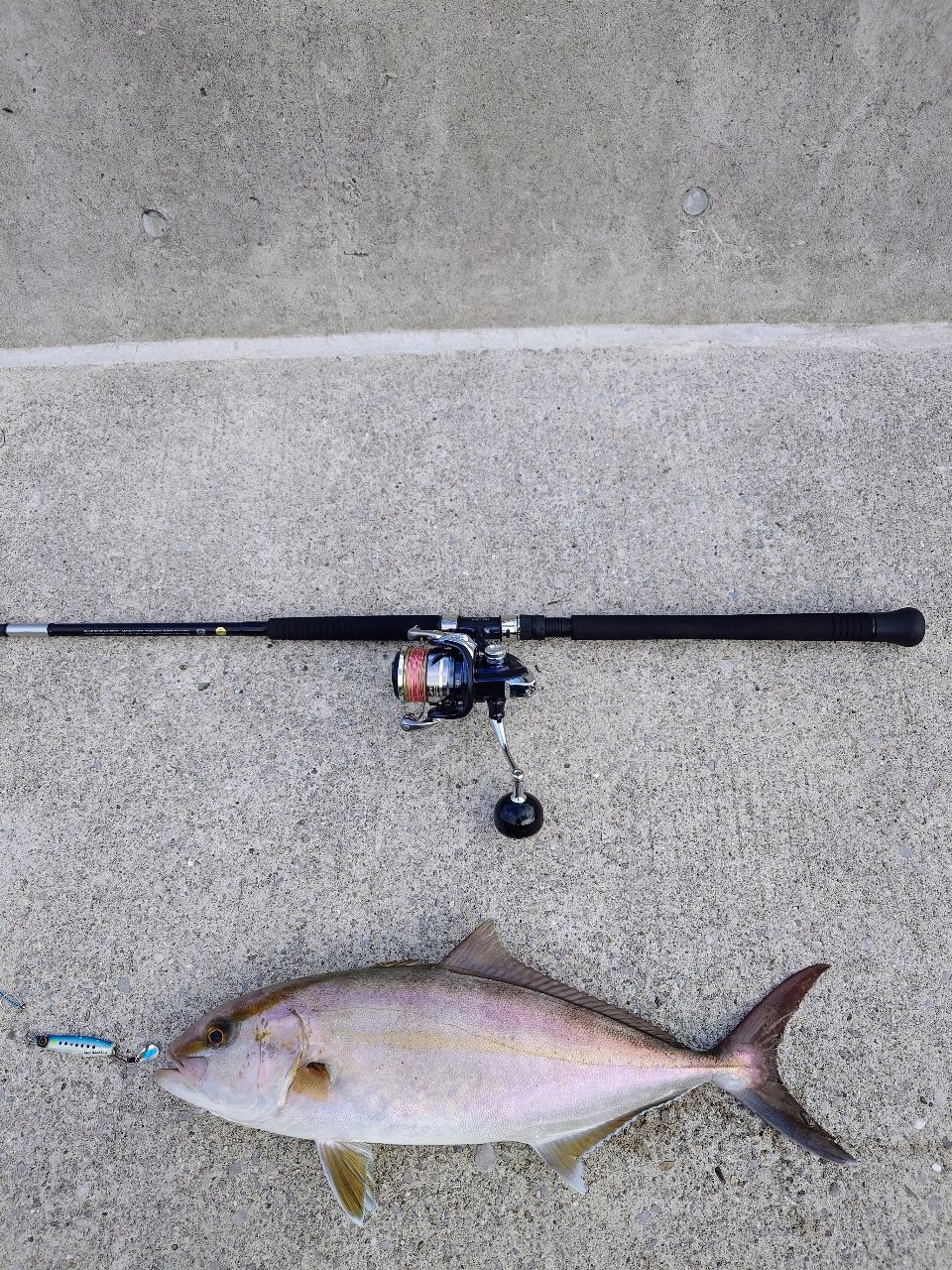 コルトスナイパーリミテッド　98XH/JS 4969363353948_1.jpg