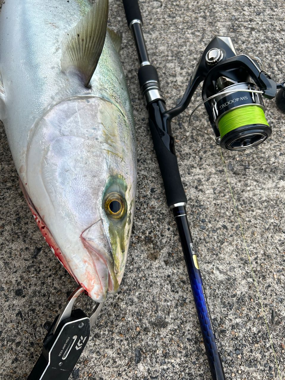 SHIMANO 19ブレニアス S78Lの最安値・インプレ・釣果 | 本音の口コミが
