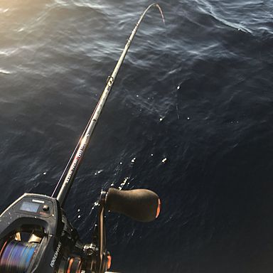 釣り趣味高校生