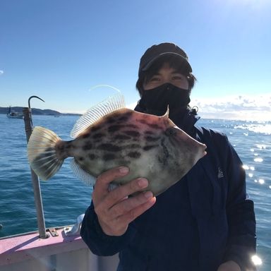 魚は買うより釣るマン