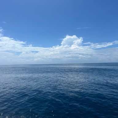 釣猿 海太郎