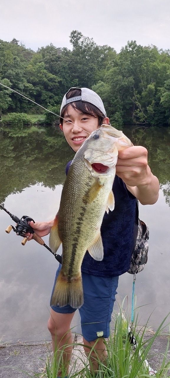 DAIWA 23ブレイゾン S64UL-2の最安値・インプレ・釣果 | 本音の
