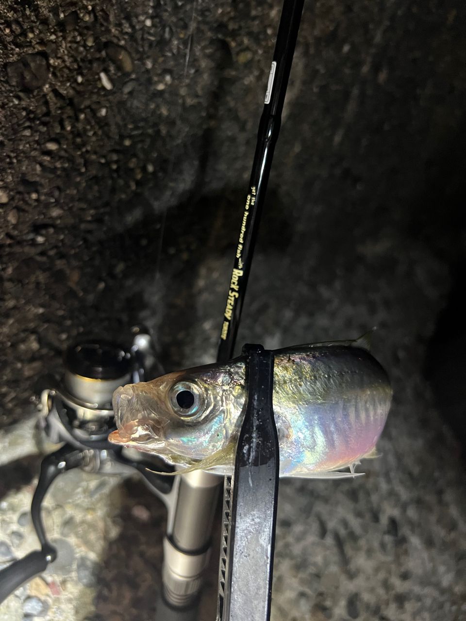 DAIWA 18ルアーニスト 66Lの最安値・インプレ・釣果 | 本音の