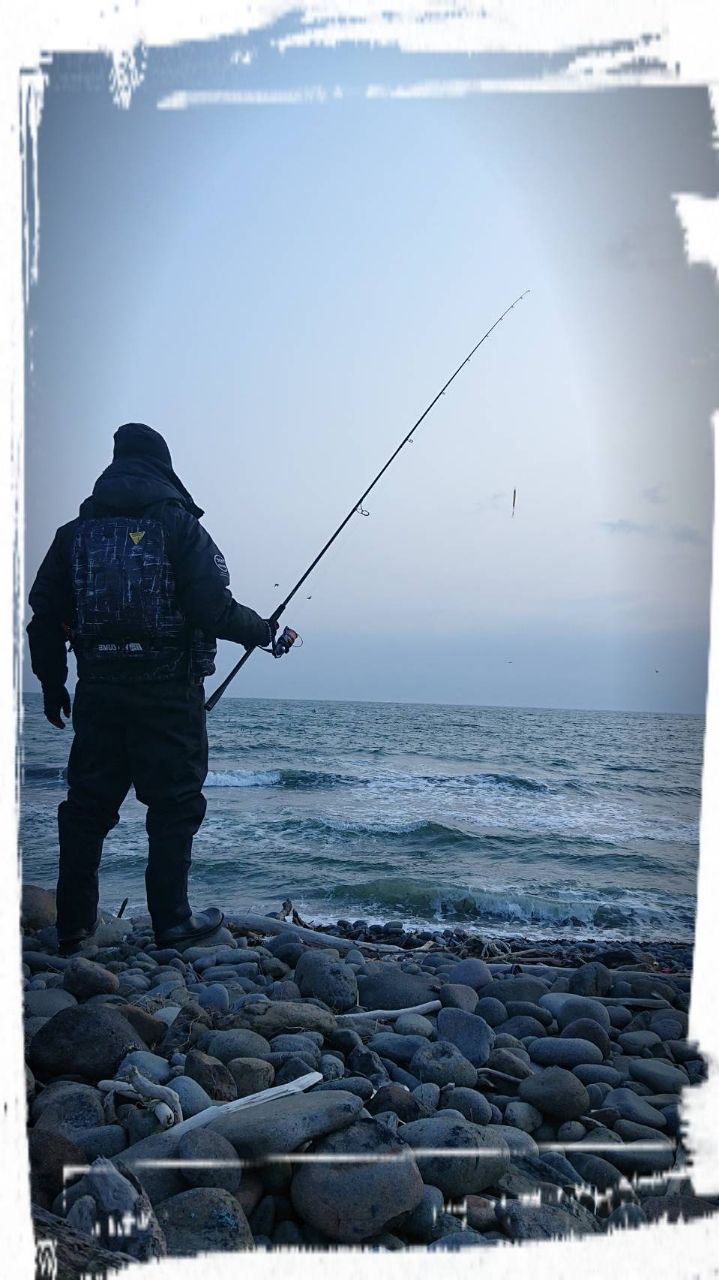SHIMANO 19ハードロッカー BB S83MHの最安値・インプレ・釣果 | 本音の