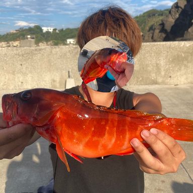 友希🎣🍏(日本さかな専門学校)