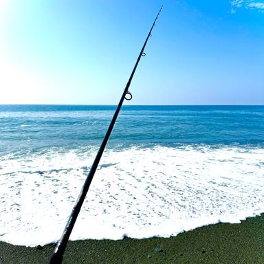 のんびり釣りしたい