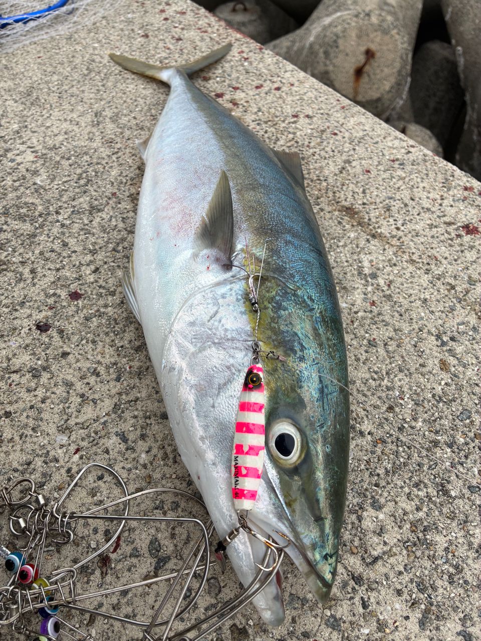 MajorCraft トリプルクロス シーバス TCX-962MLの最安値・インプレ