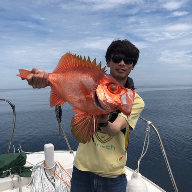 遊漁船ファミリア