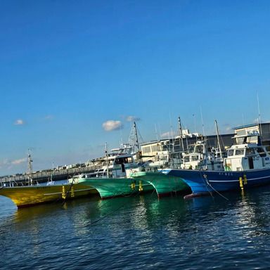 島きち丸 釣果