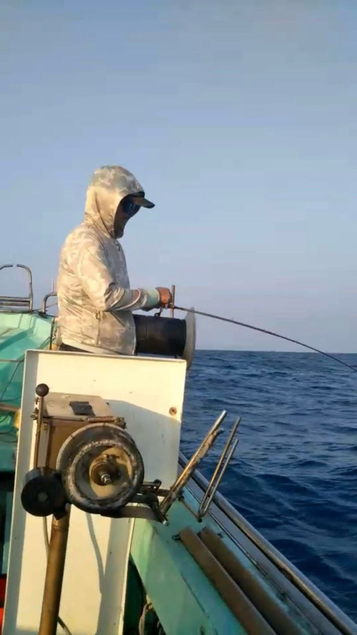 DAIWA 19アナリスター ライトゲーム 73 H-190・Yの最安値・インプレ