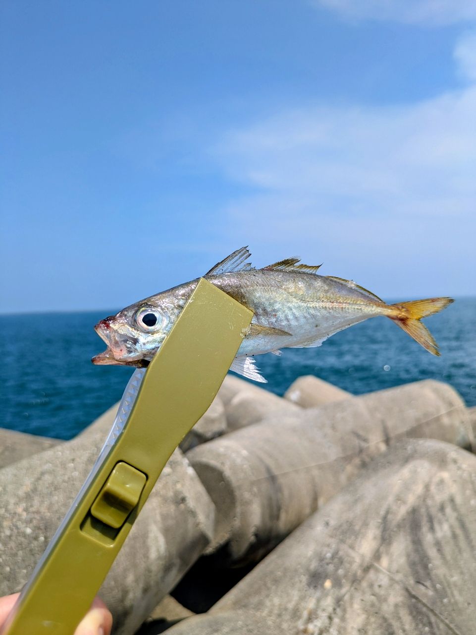 DAIWA 16ヒラメ X M-270の最安値・インプレ・釣果 | 本音の口コミが