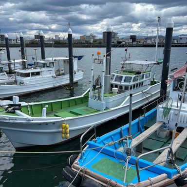 釣船のんちゃん