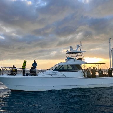 シーマジカル@堺旧港