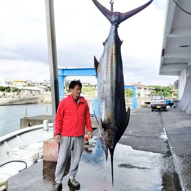 カジキ 角 1m超え 太平洋で釣れたカジキの釣り・釣果情報 - アングラーズ | 釣果