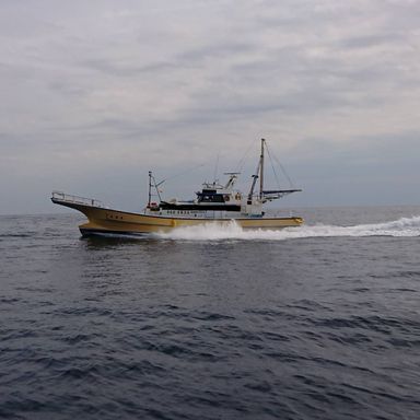 宝栄丸 船長@須崎港