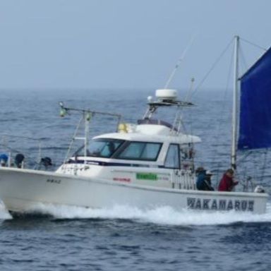 WAKAMARUⅡ