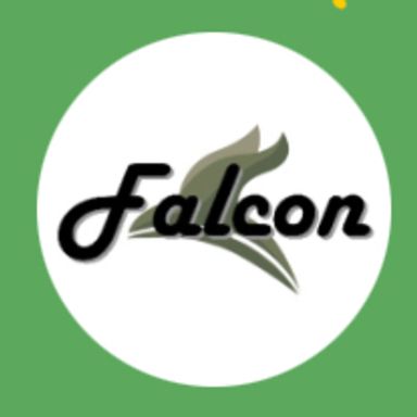 遊漁船falcon