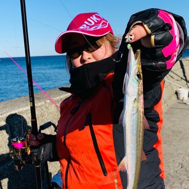 ピンクの釣りおばさん 雪島