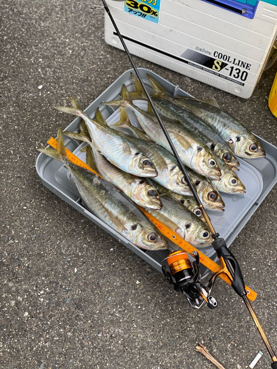 DAIWA 20ラテオ モバイル 110MH-4の最安値・インプレ・釣果 | 本音の