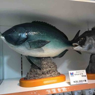夏みかん