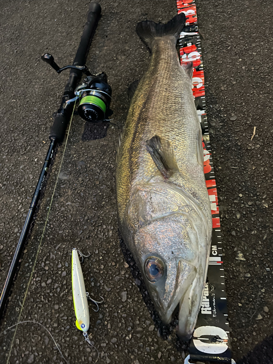 SHIMANO 21カーディフNX S54ULの最安値・インプレ・釣果 | 本音