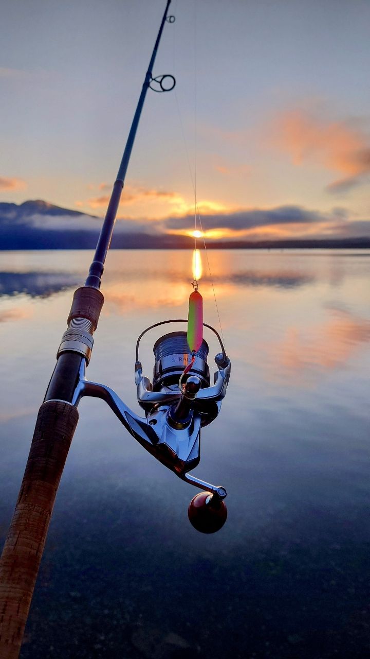 NORIES ロードランナー ヴォイス ハードベイトスペシャル ベイト