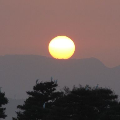 夕陽