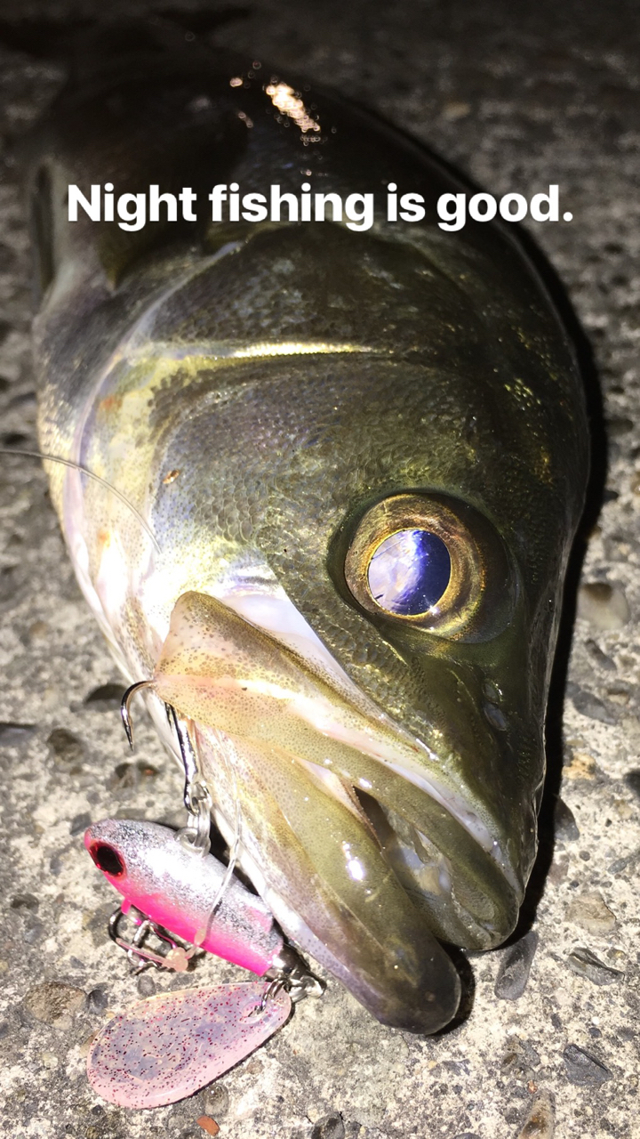 SHIMANO 21カーディフAX S60SUL-FFの最安値・インプレ・釣果