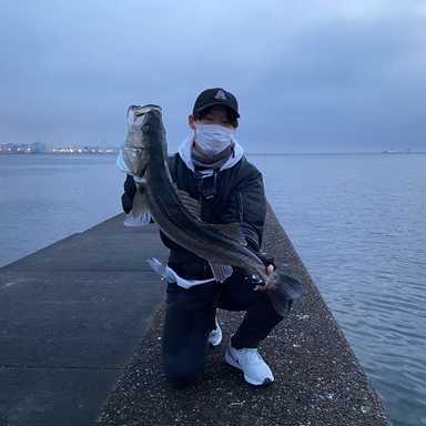 新川（浜松）で釣れたコチの釣り・釣果情報 - アングラーズ