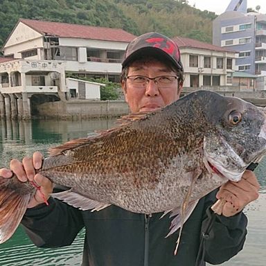 よかばいさん