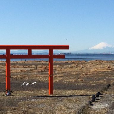 ありなお房総族