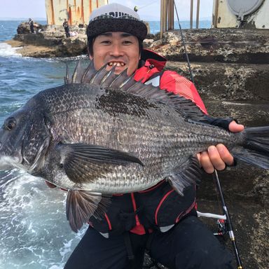 魚屋ほーりー