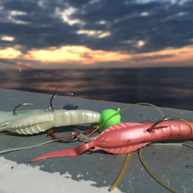 HIDEUP ノタノタ ネズミ - アングラーズ | 釣果400万件の魚釣り情報サイト