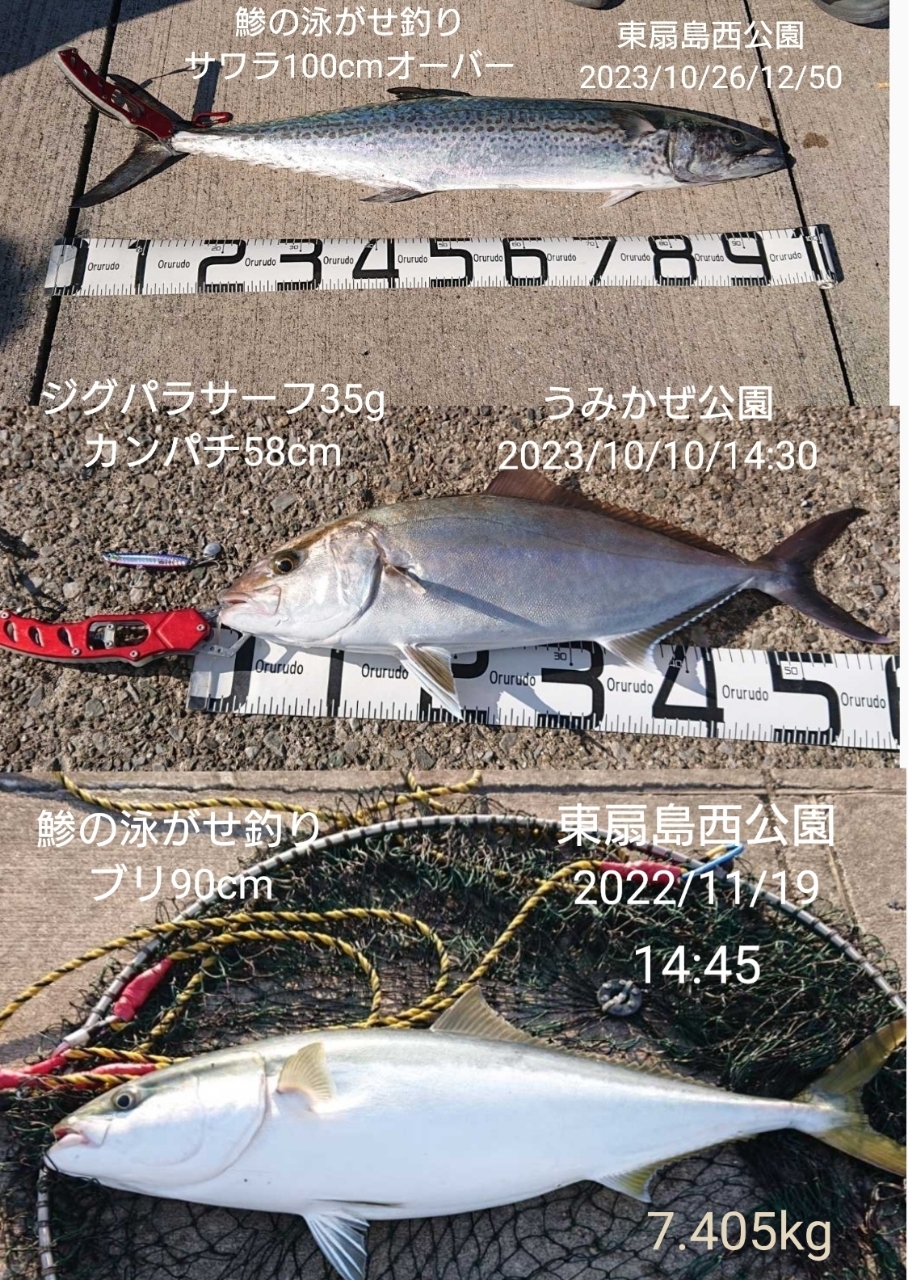 SHIMANO 20ルナミス B120M-3の最安値・インプレ・釣果 | 本音の