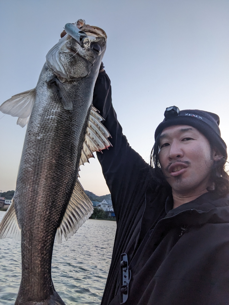 SHIMANO 20ゾディアス 168L-BFS/2の最安値・インプレ・釣果