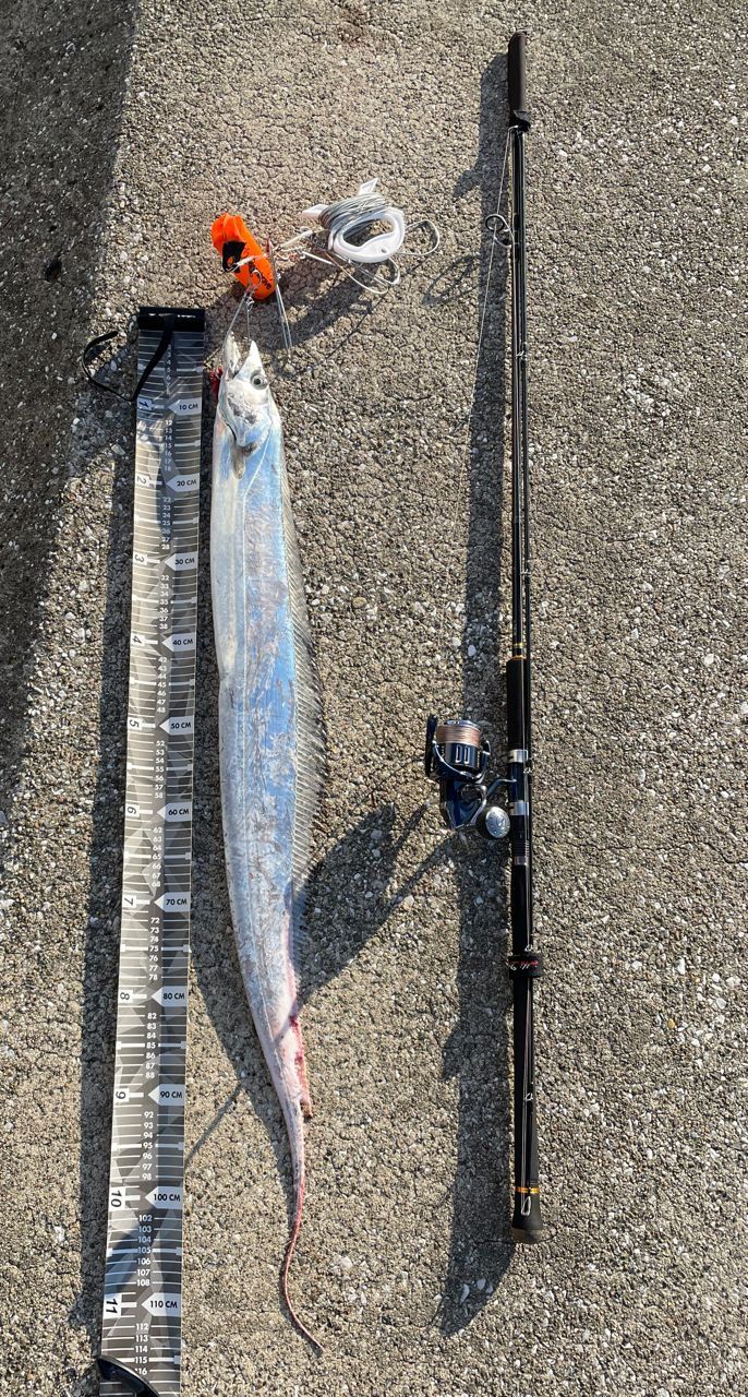 ネッサXR 108M+ SHIMANO 22ネッサXR S108M+の最安値・インプレ・釣果 | 本音の口コミが