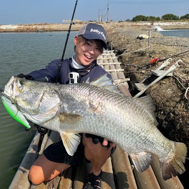 かまちゃん🎣シドニー🇦🇺