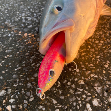 What Are the Best Saltwater Lures for Redfish?