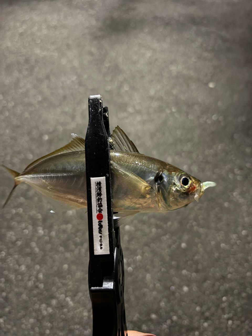 OLYMPIC 23コルト UX 23GCORUS-642L-HSの最安値・インプレ・釣果