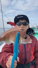 DAIWA 20ソルティガ R J64S-3 MDの最安値・インプレ・釣果 DAIWA 20ソルティガ R J64S-3 MDの最安値・インプレ・釣果
