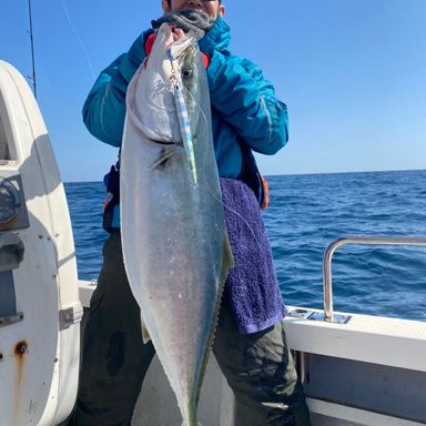 釣人よっちゃん