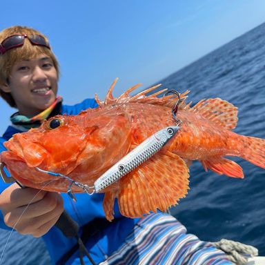 賀田湾大好きっ子