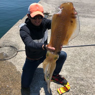 釣りに全振り