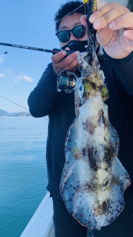 SHIMANO 21セフィア エクスチューン ティップエギング S68L-Sの