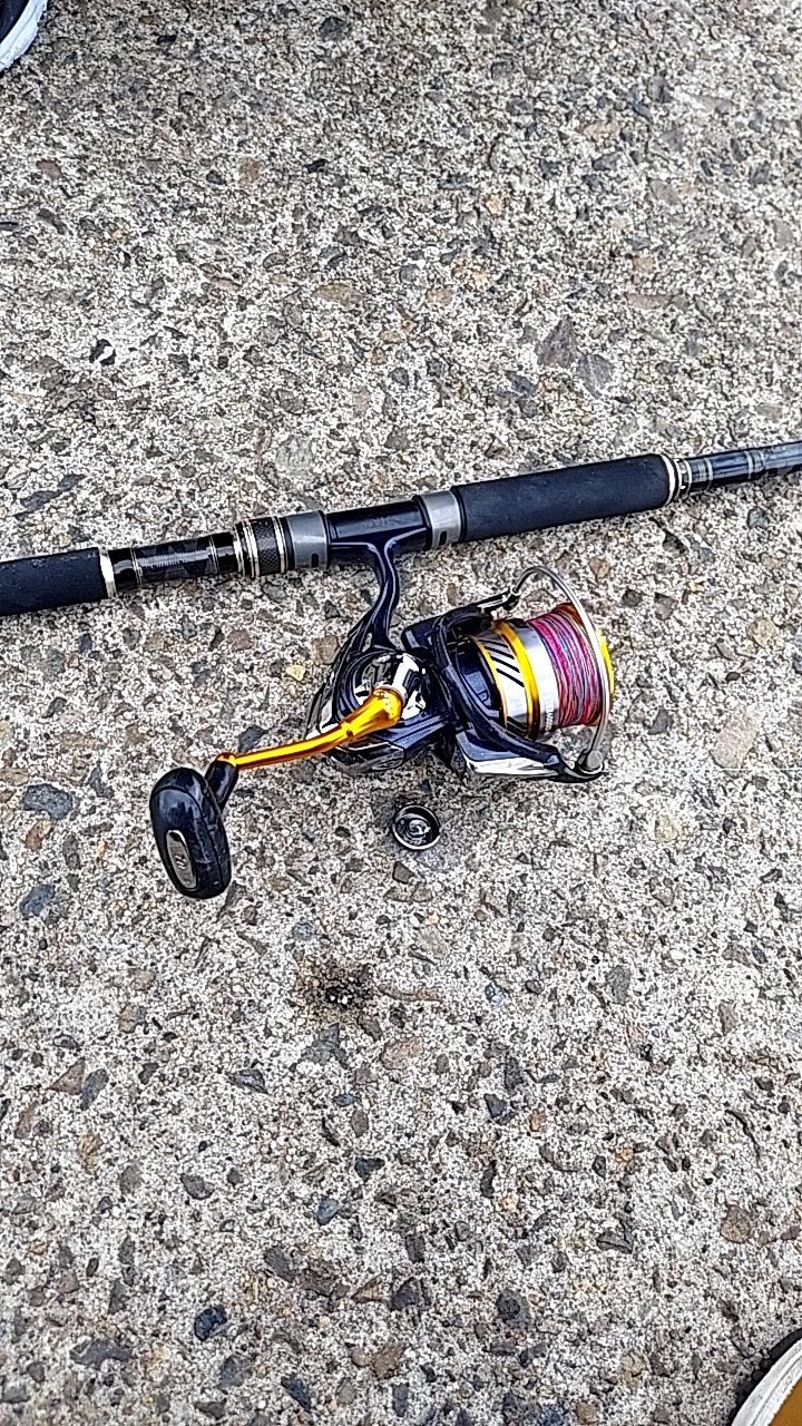 SHIMANO 19セフィア SS S86Mの最安値・インプレ・釣果 | 本音の口コミ