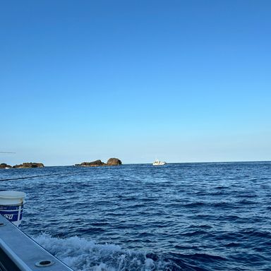 釣りバカニャンコ丸