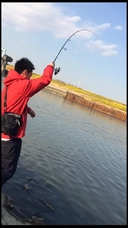 DAIWA 13ハートランド AGS 702MLRS-AGS14の最安値・インプレ DAIWA 13ハートランド AGS 702MLRS-AGS14の最安値・インプレ