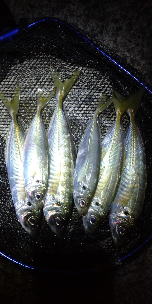SHIMANO 22ソアレ SS アジング S68SUL-Sの最安値・インプレ