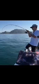 DAIWA 20ソルティガ R J64S-3 MDの最安値・インプレ・釣果 DAIWA 20ソルティガ R J64S-3 MDの最安値・インプレ・釣果